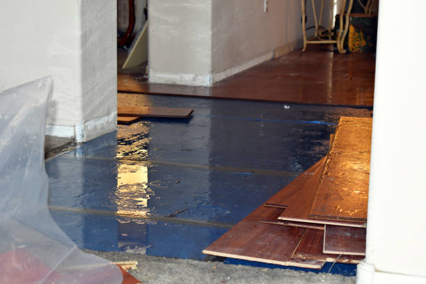 Professional Burst Pipe Cleanup technician working in Climax, NC